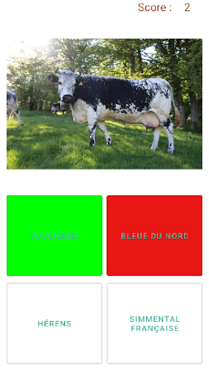 Vaches de France Screenshot 1