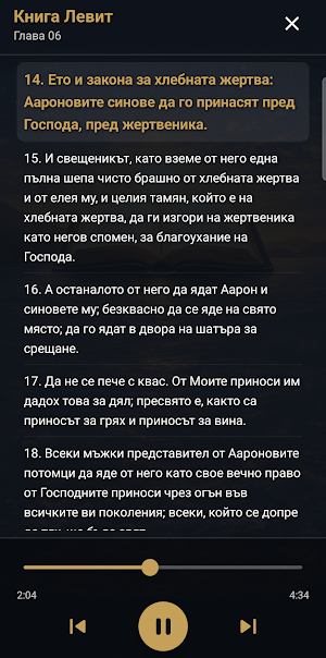Библейски Плейър Screenshot 1