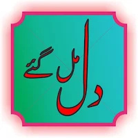 dil dil mil mil gaye