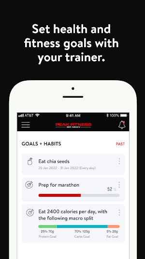 Peak Fit Virtual Screenshot 1