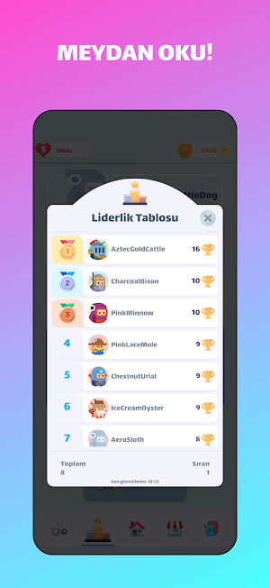 Plakalar ve Şehirler Screenshot 1
