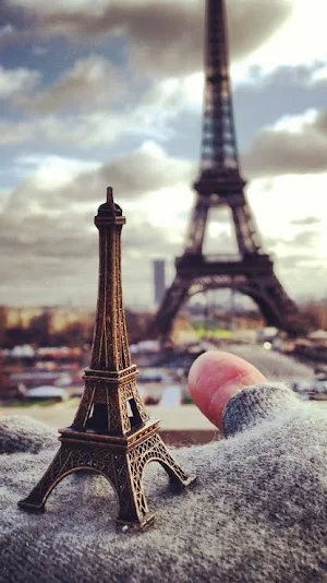 صور قطة : اجمل صور القطط كيوت Screenshot 3