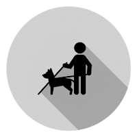 Blind Simulator