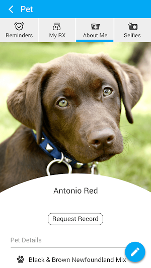 Angel Oak Animal Hospital Screenshot 3