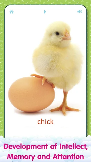 Animal sounds and flashcards for Kids Screenshot 3