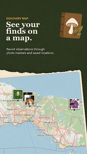FungiLog: Mushroom Map & ID Screenshot 3