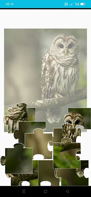 Owls Scary Puzzle Game Screenshot 2