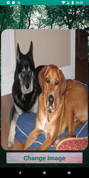 My Dogs: Unlimited DogPictures Screenshot 2