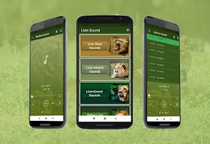 Lion Sounds Screenshot 0