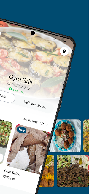 Gyro Grill WI Screenshot 1
