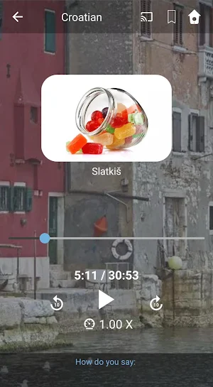 Learn Croatian. Speak Croatian. Study Croatian. Screenshot 2