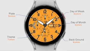 IWF Pilot Pro Flat watch face Screenshot 1