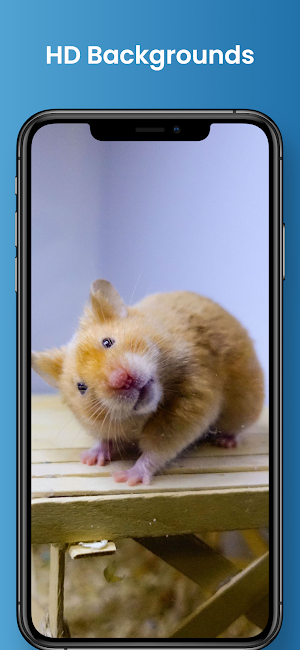 Cute Hamster Wallpapers Screenshot 3