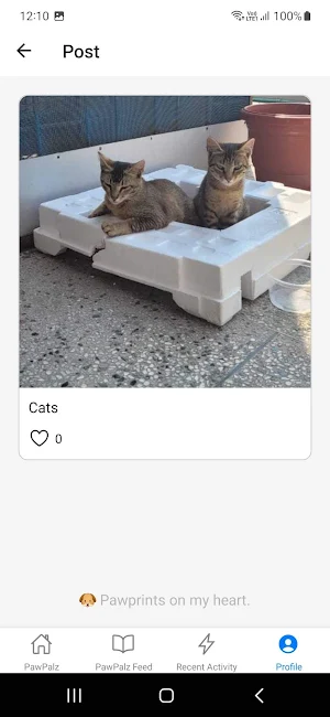 PawPalz - Pets Share Stories Screenshot 1
