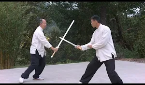 Tai Chi Sword for Beginners (YMAA) Screenshot 3
