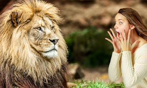 Wild Animal Photo Frames Screenshot 2