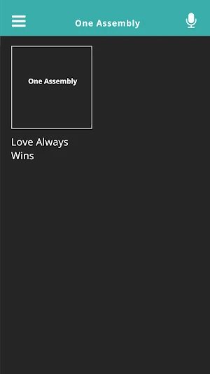 One Assembly Screenshot 0