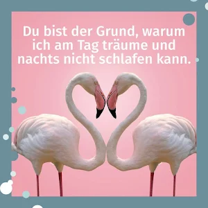 Schöne Liebessprüche Screenshot 1
