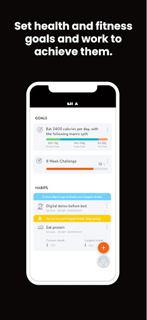 No Lies Approach Screenshot 3