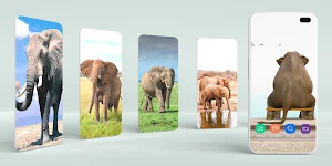 Elephant Wallpaper Screenshot 0