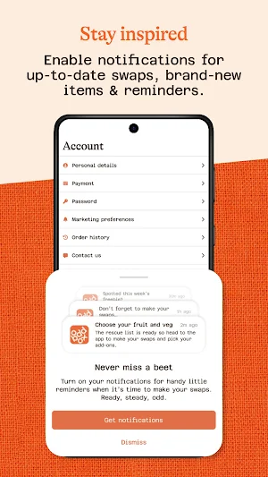 Oddbox Screenshot 2