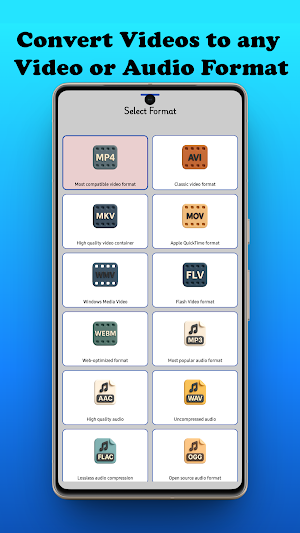 Video Converter: MKV to MP4 Screenshot 3