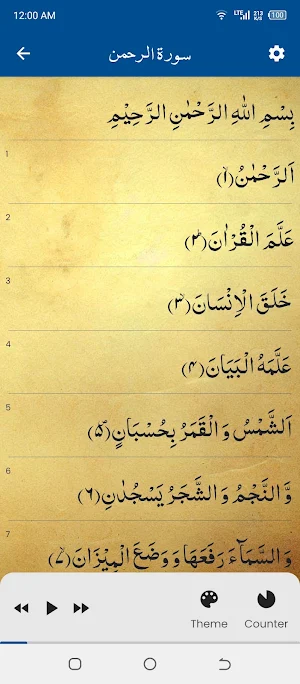 Surah Rahman سورة الرحمن Screenshot 2