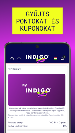Indigo Express Screenshot 2