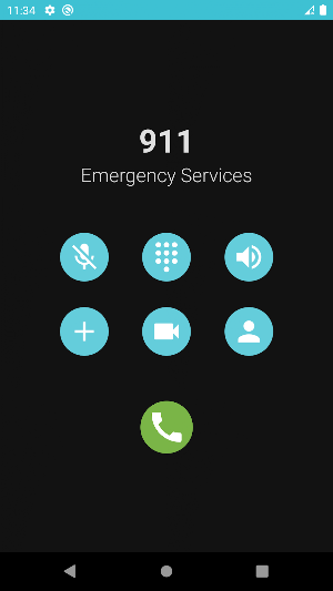Fake Police Call Screenshot 1