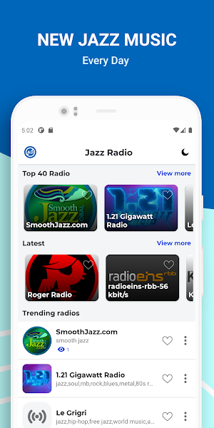 Jazz Radio: Blues Music online Screenshot 2