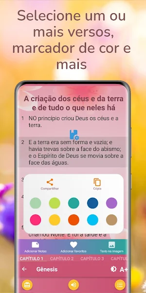 Bíblia da Mulher Cristã Screenshot 2