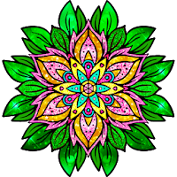 Adult Glitter Coloring Book - Sparkly Painting Art
