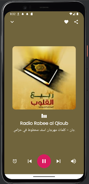 World Muslim Radios Screenshot 3
