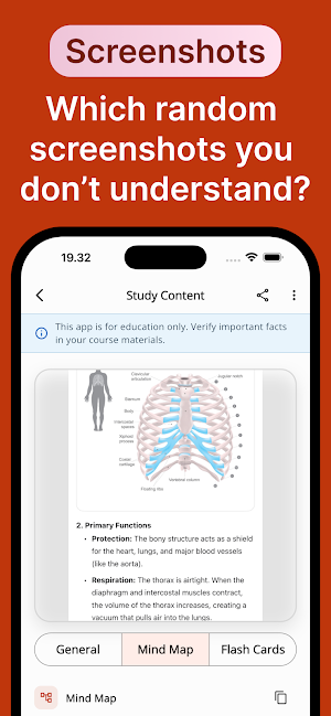 Anatomy Note Mindmap Flashcard Screenshot 3