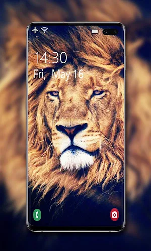 Lion Wallpaper 🦁 Screenshot 1