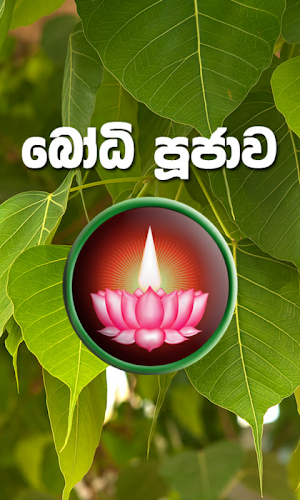 Bodhi Poojawa Screenshot 0