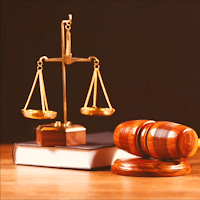 عبارات عن المحاميات