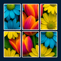 Fun Jigsolitaire : Jigsaw Game