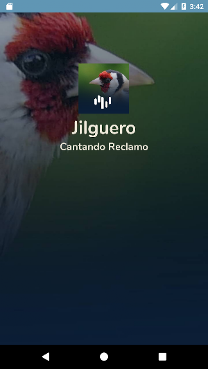 Jilguero Cantando Reclamo Screenshot 0