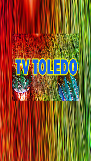 Web Tv Toledo Online Screenshot 2
