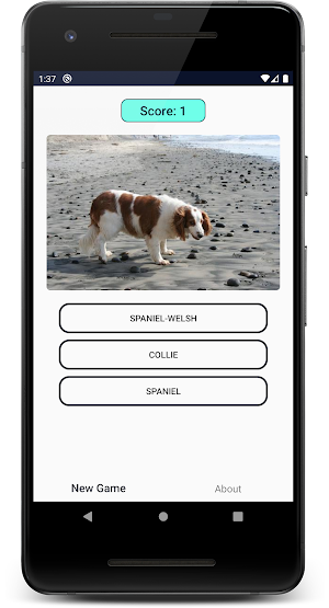Dogs Quiz: Guess and Learn the Dogs Breeds Screenshot 2