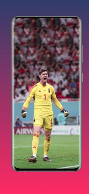 Courtois 4k wallpaper Screenshot 2
