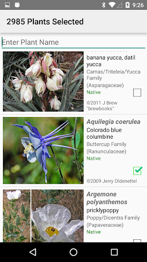 Colorado Wildflowers Screenshot 1