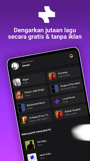 Noctera: Musik & Playlist Screenshot 0