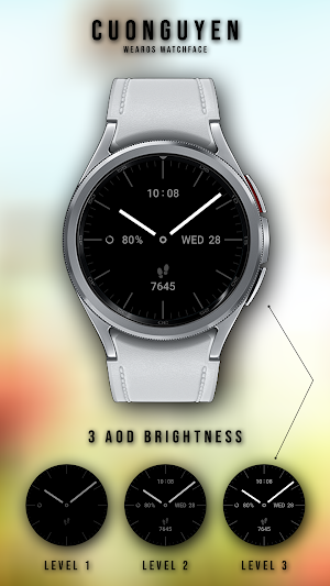 Watch face Vintage CNW0011 Screenshot 1