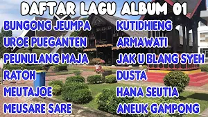 Album Lagu Aceh Mp3 Offline Screenshot 1