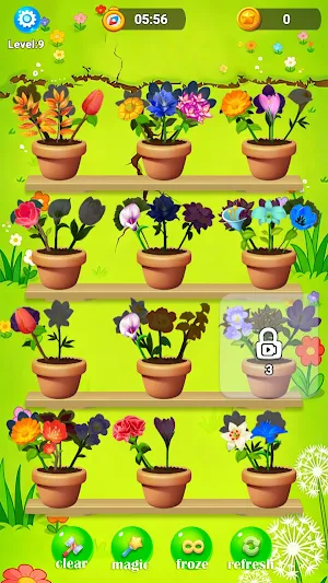 Flower Match - Sort Game Screenshot 3