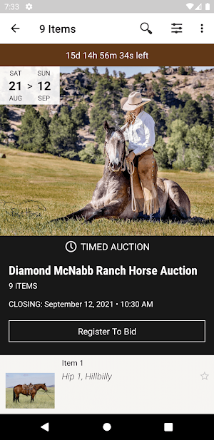 DiamondMcNabb Screenshot 3