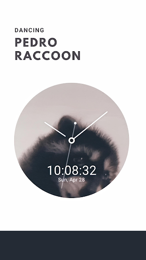 Pedro Raccoon Watch Face Screenshot 0