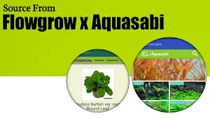 Aquatic Plant Identifier Screenshot 1